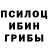 Псилоцибиновые грибы Psilocybe chakri Jeneral