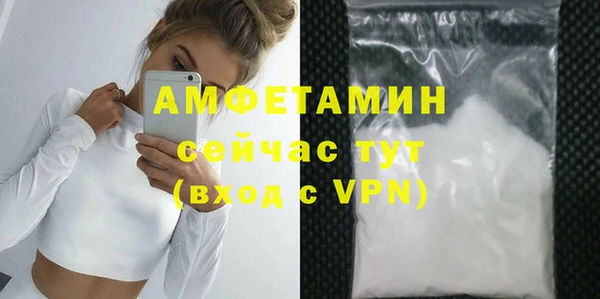 мет Алексин