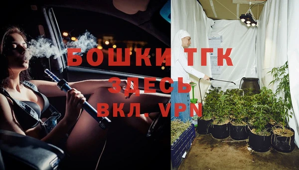 молекула духа Алзамай