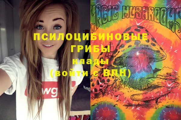 молекула духа Алзамай