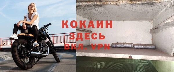 мет Алексин