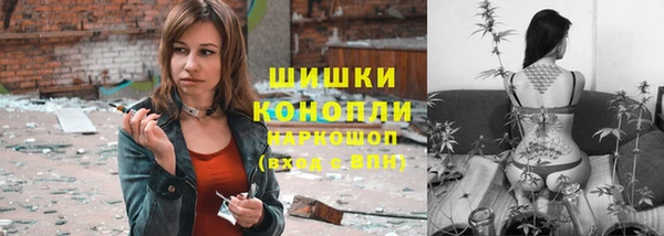 мет Алексин